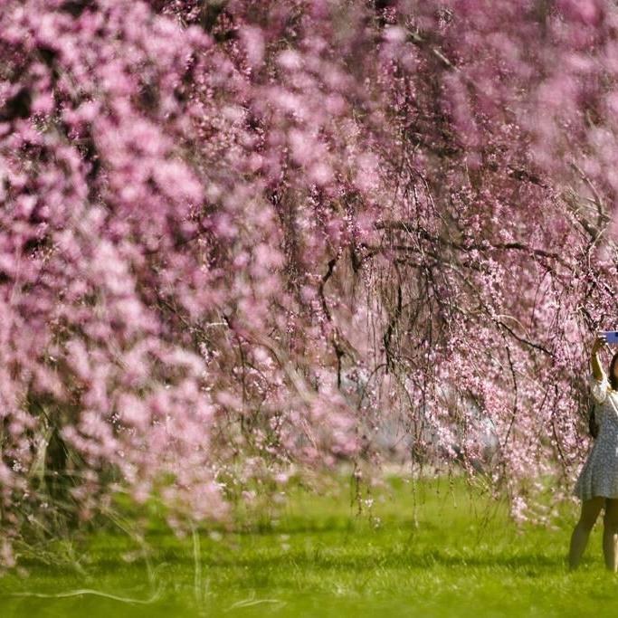 The US may catch a spring break on weather. Forecasters see minimal flooding and drought for spring